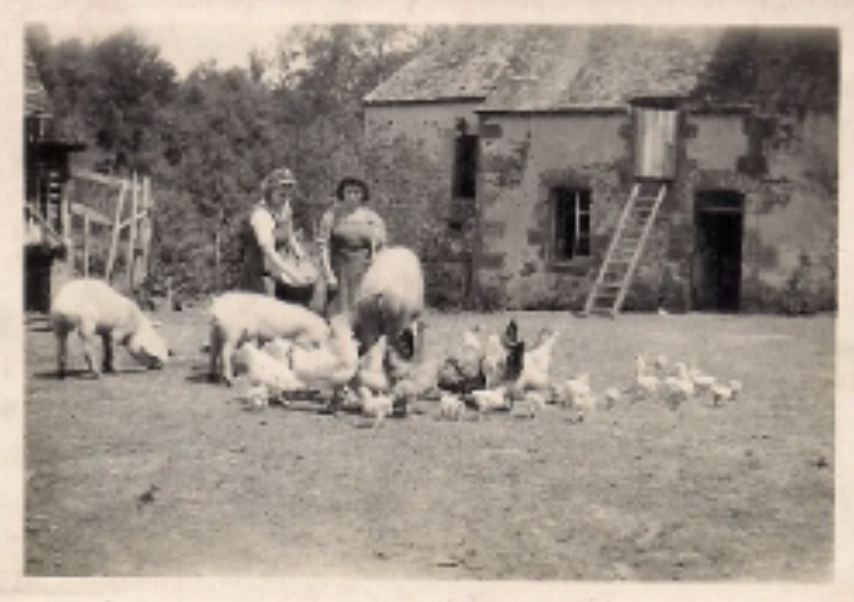 Photo ancienne du Moulin Cognot