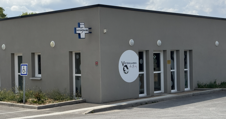 SCP Vétérinaire du Loing – Saint-Sauveur-en-Puisaye