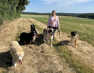 Pension canine et féline des Révillons Pension canine et féline des Révillons